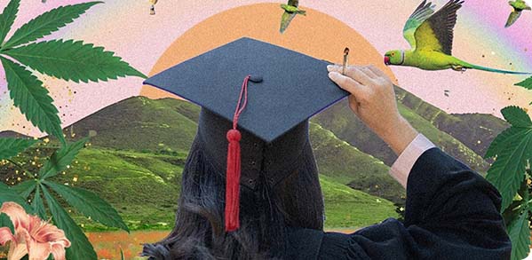 Graduation graphic