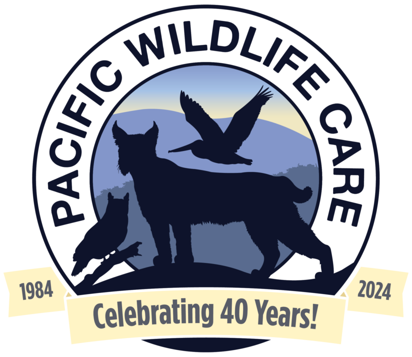 Pacific Wildlife Care logo