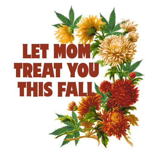 Let MOM treat you this fall